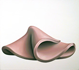 Thomas Jocher Cold Cut