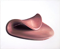 Thomas Jocher Cold Cut