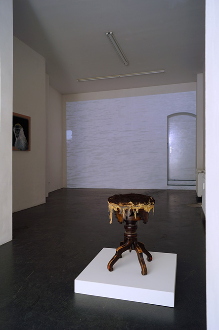 Manuel Salvat & Thomas Jocher: That's It!