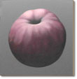 Thomas Jocher Fruits