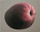 Thomas Jocher Fruits