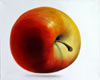 Thomas Jocher apple