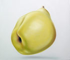 Thomas Jocher pear