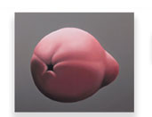Pear 1 Thomas Jocher