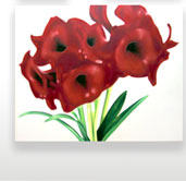 Flowers Thomas Jocher
