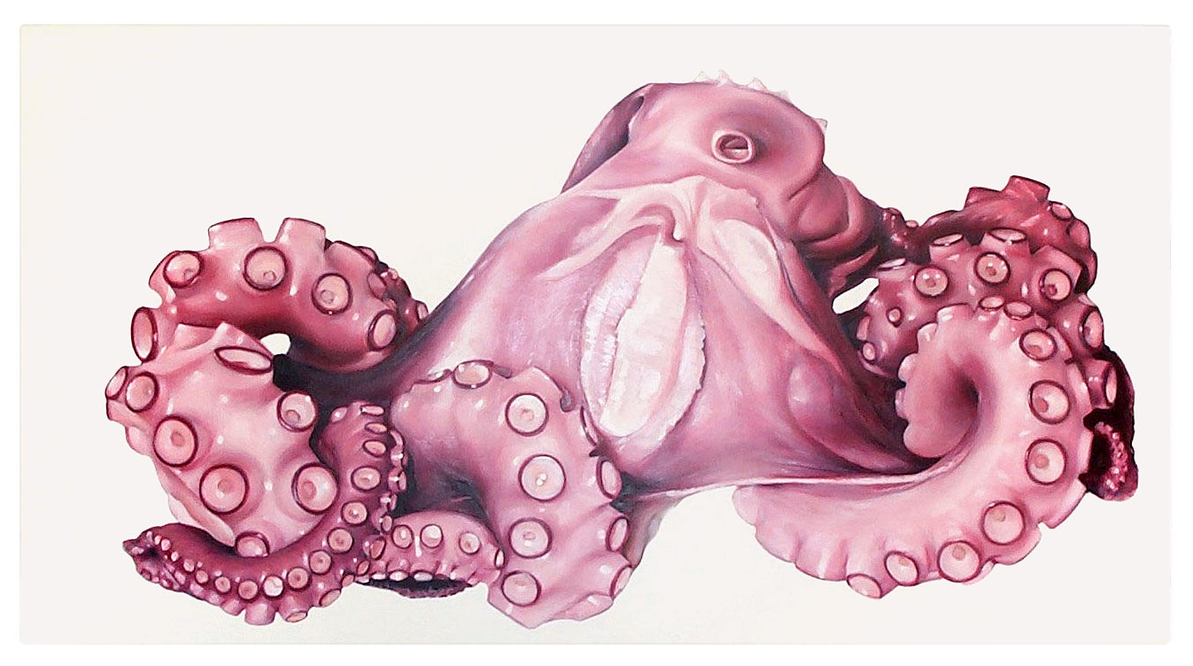Thomas Jocher Pulpo